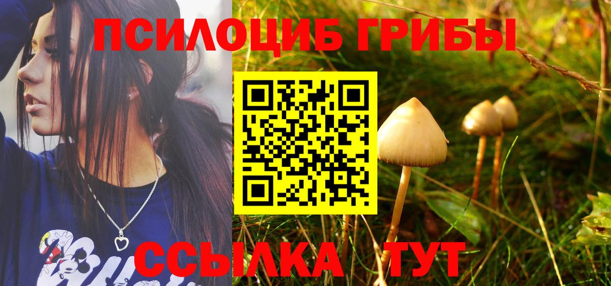 Липецк  Псилоцибиновые грибы GOLDEN TEACHER  Галлюциногенные грибы Cubensis  Вход с VPN 